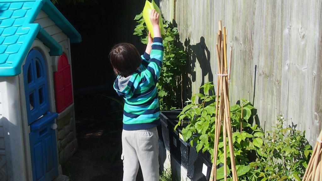 m watering beans