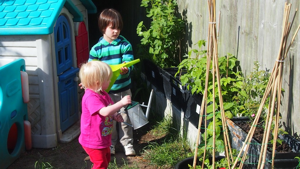 M & A tending to berries